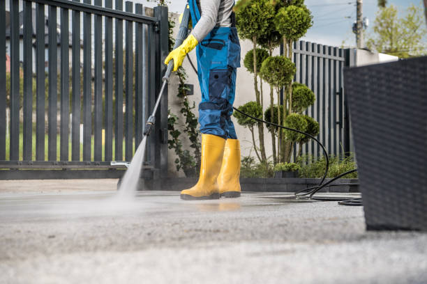 Best Fence Cleaning  in Wildwood, FL