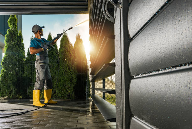 Best Graffiti Removal  in Wildwood, FL
